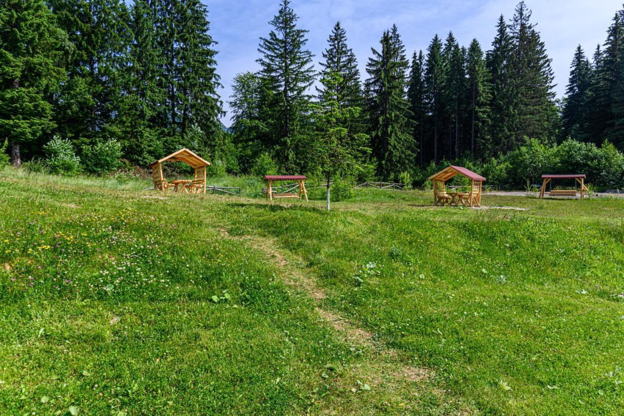 Fabulous Panorama Silver Mountain Apartments Poiana Brašov Exteriér fotografie
